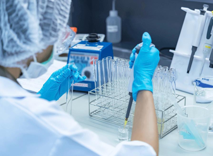 Placeholder: product lineup